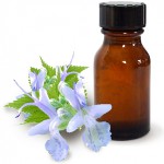 L'huile de patchouli et ses propriétés bénéfiques L'huile de patchouli et ses propriétés bénéfiques