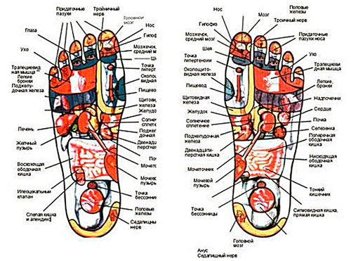Massage des pieds - nous revitalisons le corps