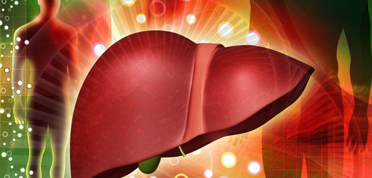 Purification du foie avec des médicaments