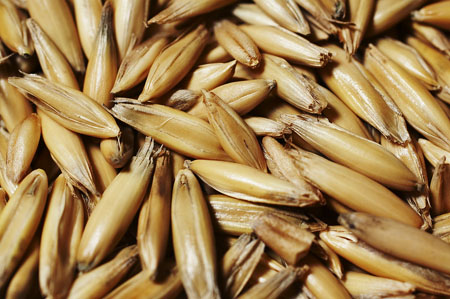 Purification du foie avec des médicaments