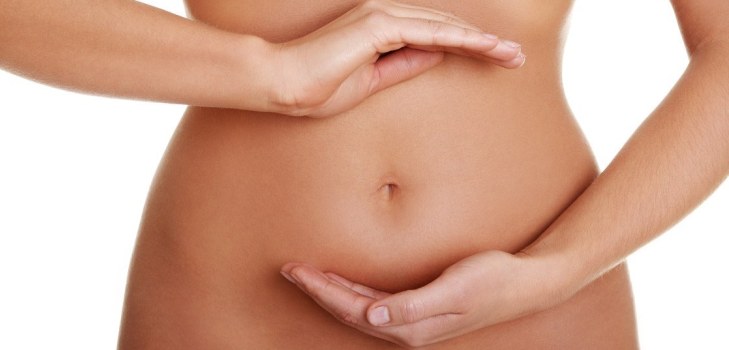 abdomen femelle