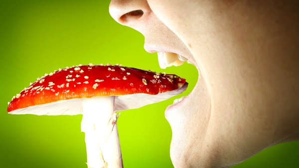 Empoisonnement alimentaire