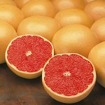 Propriétés utiles du pamplemousse Propriétés utiles du pamplemousse