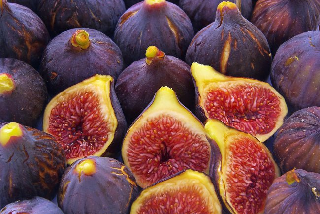 L'utilisation de figues