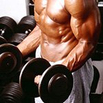 Une bonne nutrition pour la croissance musculaire Une bonne nutrition pour la croissance musculaire