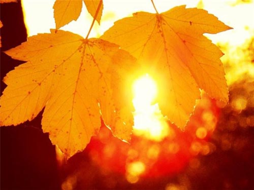 Causes de faiblesse et de fatigue