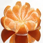 Propriétés de la mandarine