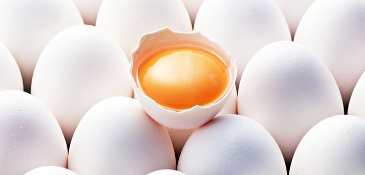 Diète aux oeufs pour la semaine